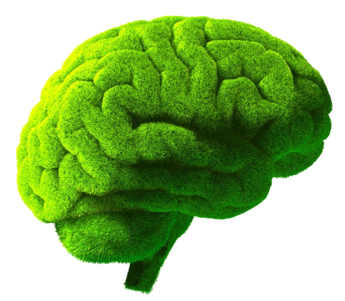 a-green-brain-img